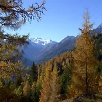 Haas Maria Apartment Neustift im Stubaital