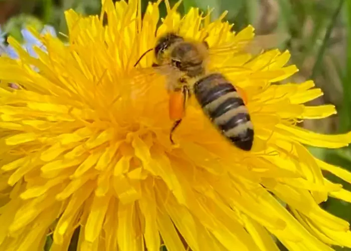 Haas Maria Neustift im Stubaital